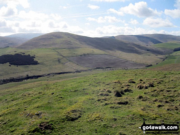 Great Hetha from East Laddie's Knowe