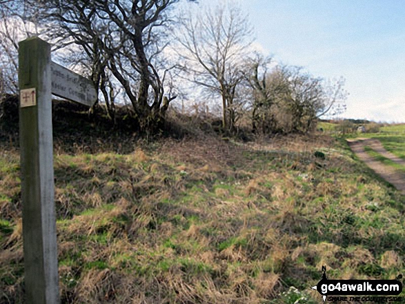 The St Cuthbert's Way heading up on to Wooler Common near Waud House, Wooler