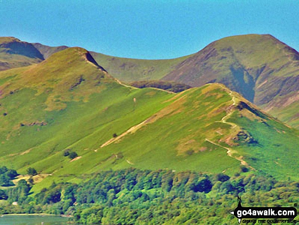 Cat Bells (Catbells) with Dale Head (Newlands) & Hindscarth beyond from Latrigg