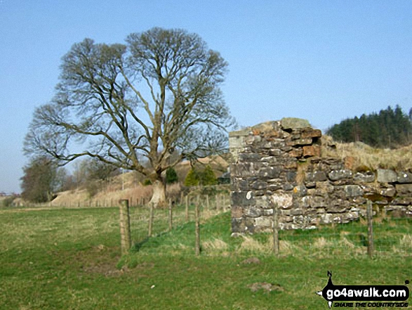 The ruins of Mangerton Tower