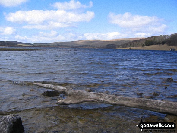 Malham Tarn in Spring - 16th April, 2006