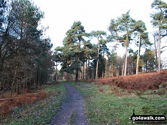 Longshaw Country Park