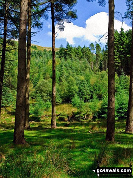 Fagney Clough