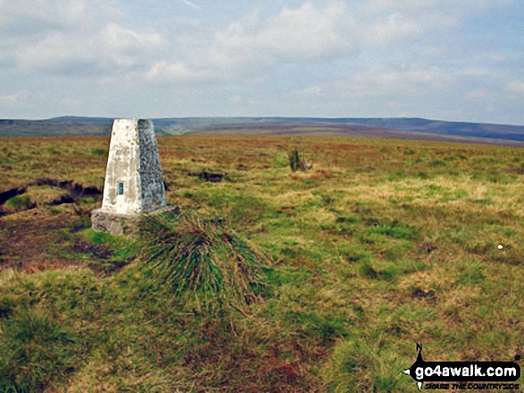 Westend Moor Pillar (Trig Point)