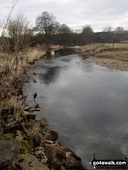 Walk l155 White Hill (Forest of Bowland) and Crutchenber Fell (Bowland Knotts) from Cross of Greet Bridge - The River Hodder at Newton