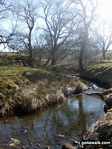 Skelshaw Brook