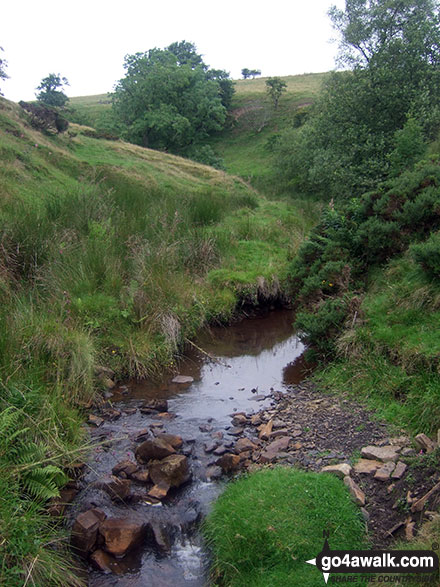 Walk s181 Merryton Low and The River Manifold from Longnor - Blake Brook near Lower Fleetgreen Farm