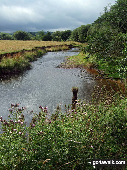 Walk s247 Blackstone Edge and Hollinsclough Moor from Hollinsclough - The River Manifold