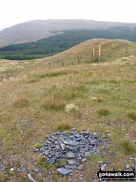 Walk gw149 Glasgwm and Pen y Brynfforchog from Cwm Cywarch - Glasgwm from Pen y Brynfforchog (aka Pen y Brynnfforchog)