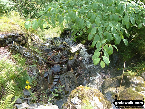 Walk c352 Gowbarrow Fell (Airy Crag) from Aira Force - Stream at Collier Hagg (Gowbarrow Fell)