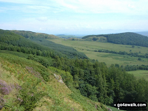 East from Collier Hagg (Gowbarrow Fell)