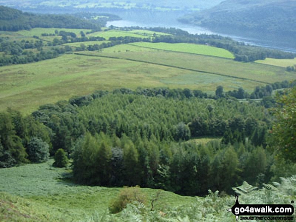 Swinburn's Park, Watermillock and Ullswater from Yew Crag (Gowbarrow Fell)