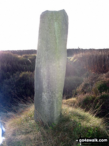 Walk d181 Hob Hurst's House and Beeley Moor from Hell Bank Plantation, Beeley - Ancient Guide Stoop/Sign Post South of Harland Sick