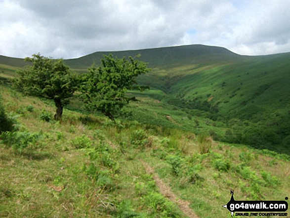 Waun Rydd from the lower slopes of Twyn Du (Waun Rydd)