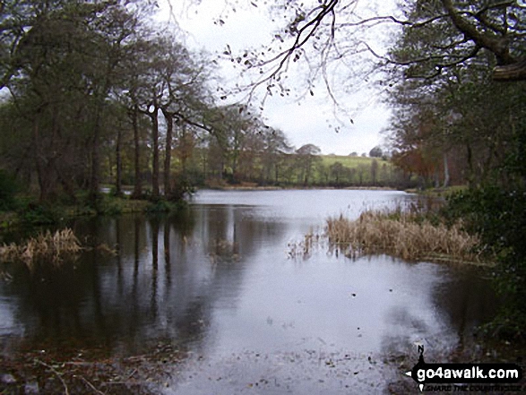 Walk ch235 Newchurch Common from Whitegate - New Pool nr Whitegate