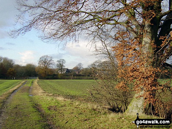 Walk ch177 Holford Hall and Royd Wood from Plumley - The Cheshire Countryside near Holford Hall