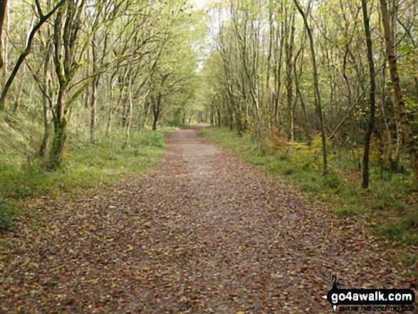 The Monsal Trail near Miller's Dale Station