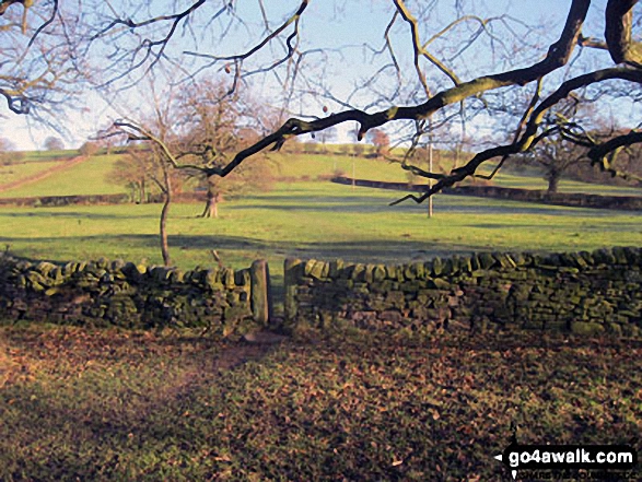 Walk d317 Beeley and Beeley Plantation from Calton Lees - Footpath to Beeley Hilltop Farm from Beeley