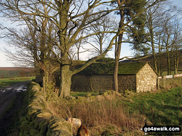 Walk d317 Beeley and Beeley Plantation from Calton Lees - Stone barn above Smeltingmill Wood near Beeley