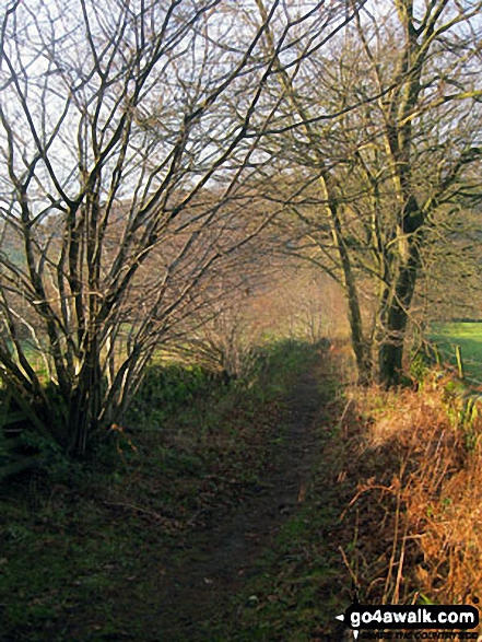 Green lane below Smeltingmill Wood near Beeley