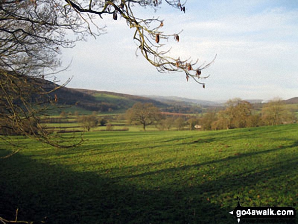 Fields near Smeltingmill Wood near Beeley