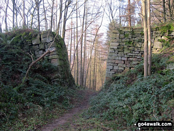 Two huge stone buttresses in Smeltingmill Wood near Beeley