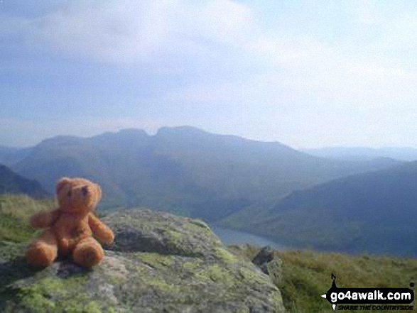 My Daughter's Teddy on Middle Fell, Wasdale in The Lake District Cumbria England