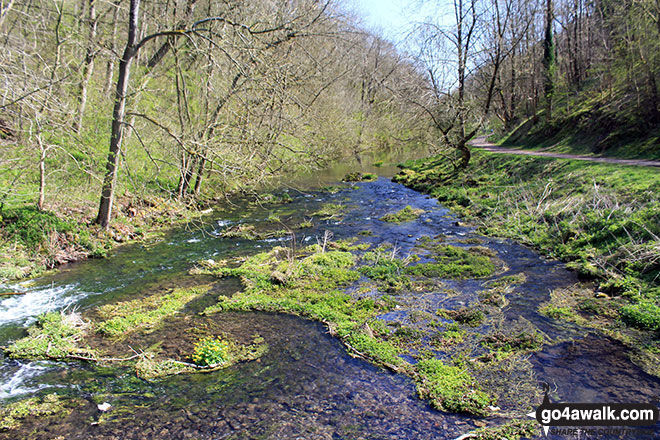 Walk d295 Bradford Dale, Long Dale, Gratton Dale and  Elton from Youlgreave - The River Bradford near Youlgreave in beautiful Bradford Dale