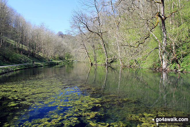 Walk d127 Lathkill Dale and Bradford Dale from Youlgreave - The River Bradford near Youlgreave in beautiful Bradford Dale