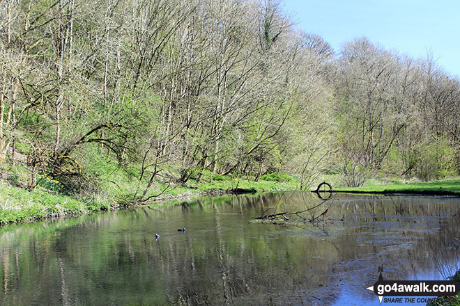 Walk d295 Bradford Dale, Long Dale, Gratton Dale and  Elton from Youlgreave - The River Bradford near Youlgreave in beautiful Bradford Dale