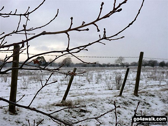 The Norfolk Countryside near Weeting in the snow