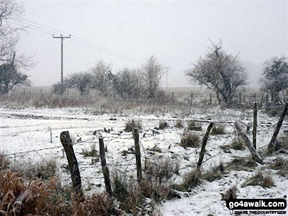 The Norfolk Countryside near Weeting in the snow