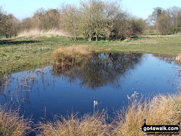 Elmswell Nature Reserve