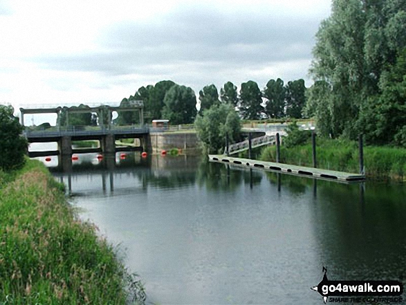 Denver Sluice