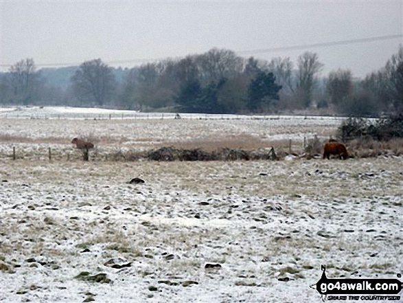 The countryside near Weeting in the snow