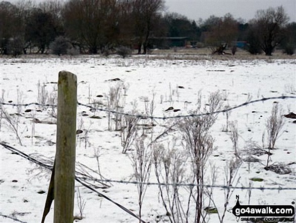 The Norfolk Countryside near Weeting in the snow