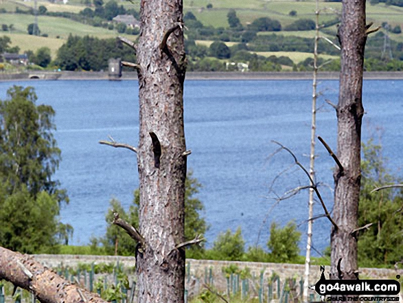 Walk sy102 Pike Lowe from Langsett Reservoir - Langsett Reservoir