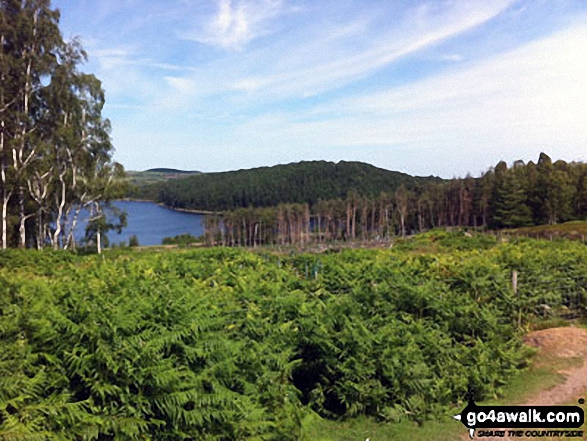 Walk sy102 Pike Lowe from Langsett Reservoir - Langsett Reservoir