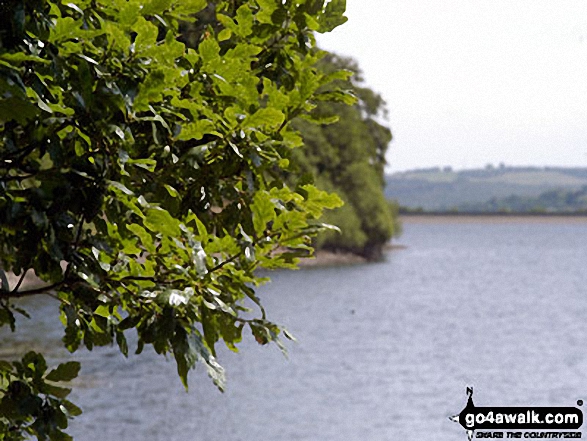 Walk sy102 Pike Lowe from Langsett Reservoir - Langsett Reservoir