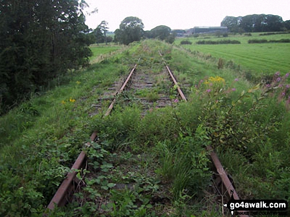 Walk s100 Morridge, Moor Top and Lowe Hill from Leek - Old Railway Line near Morridge Side