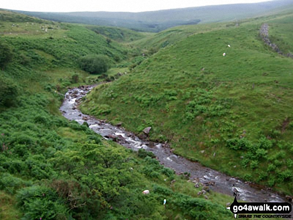 Nant Gihirych from the lay by at Pont Gihirych