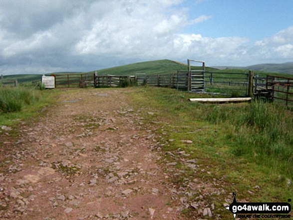 Walk po124 Fan Nedd and Fan Gyhirych from Maen Llia - Bwlch y Duwynt