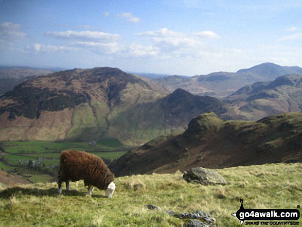 Walk c418 The Langdale Pikes via North Rake and Rossett Pike from Great Langdale - Looking across Great Langdale to Side Pike and Lingmoor Fell from Stickle Ghyll, The Langdale Pikes