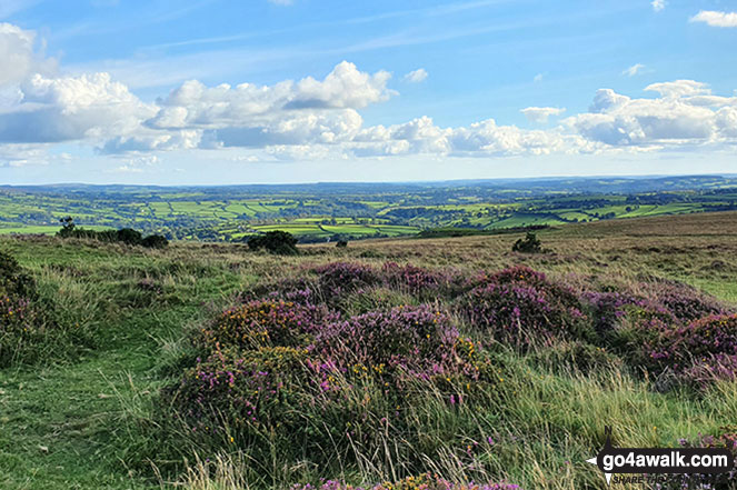 Walk Gibbet Hill (Dartmoor) walking UK Mountains in  Dartmoor National Park Devon, England