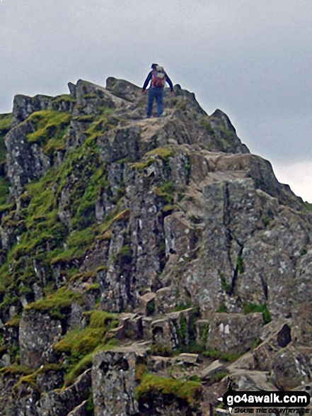 Walk c427 Helvellyn via Striding Edge from Patterdale - Pete approaching one of the high points of Striding Edge