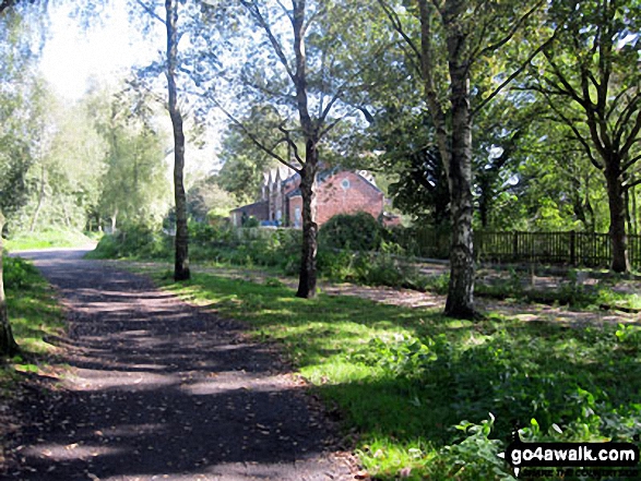 Lane leading to Linmere Visitor Centre