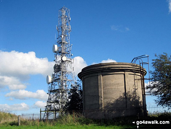 On Hangingstone Hill (Eddisbury Hill)