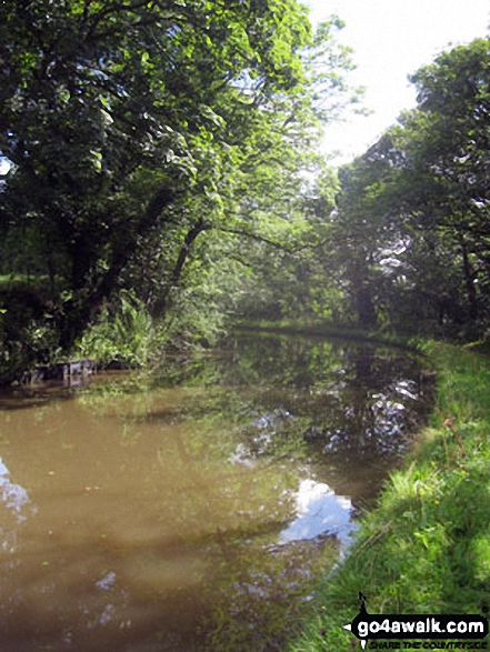 The Trent and Mersey Canal