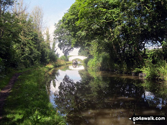 The Trent and Mersey Canal