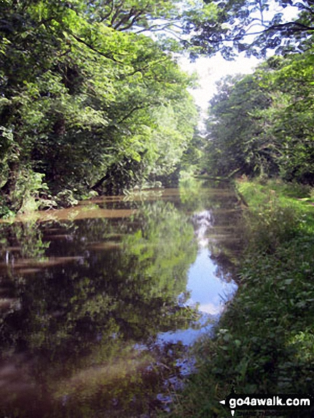 The Trent and Mersey Canal